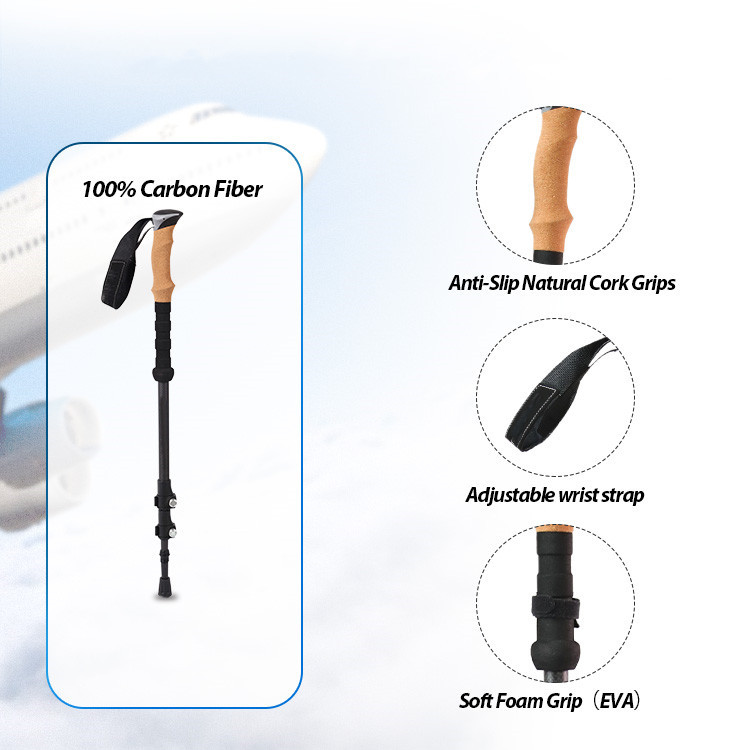 Tips Trekking Poles:
